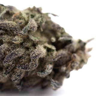 Blue Sugar