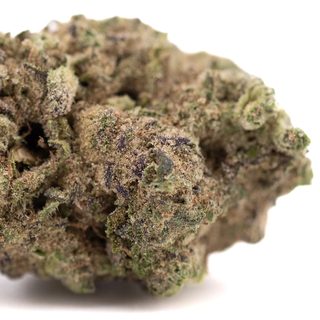 Gas Monkey