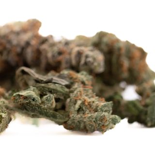 Gassa Purple