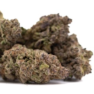 Purple Mountain Majesty