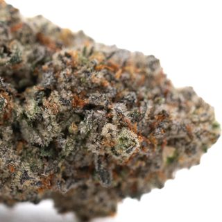 Tropical Punch