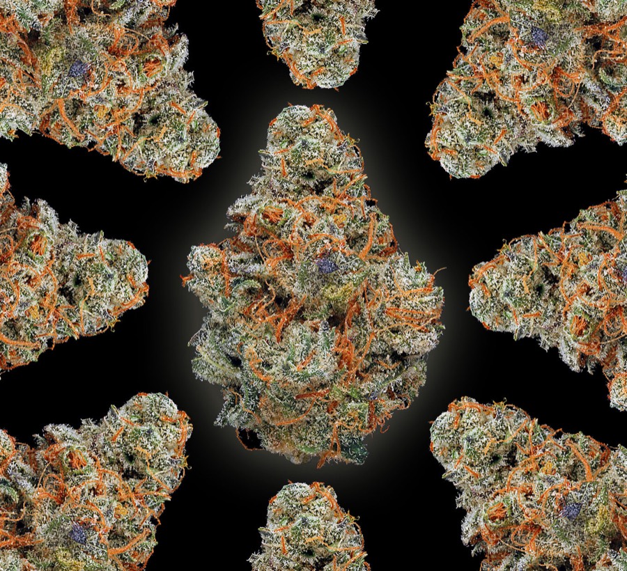 Agent Orange