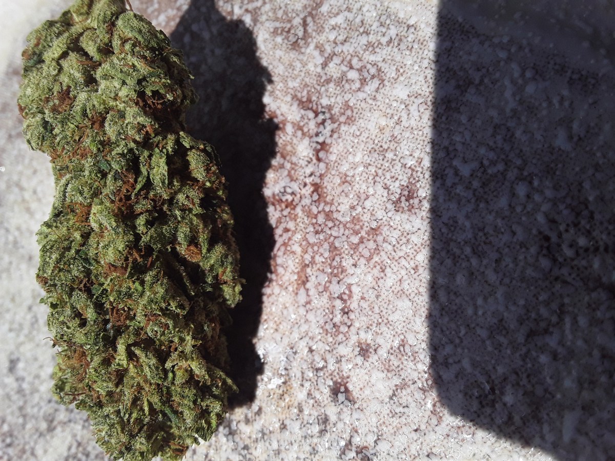 Alien Bubba