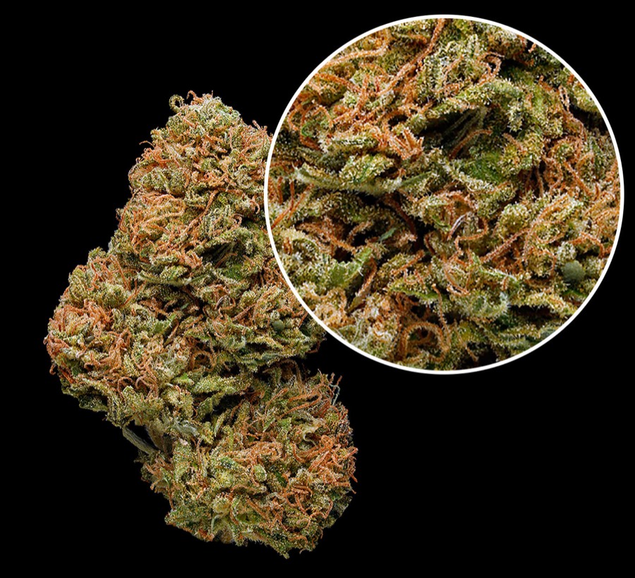 Amnesia Haze