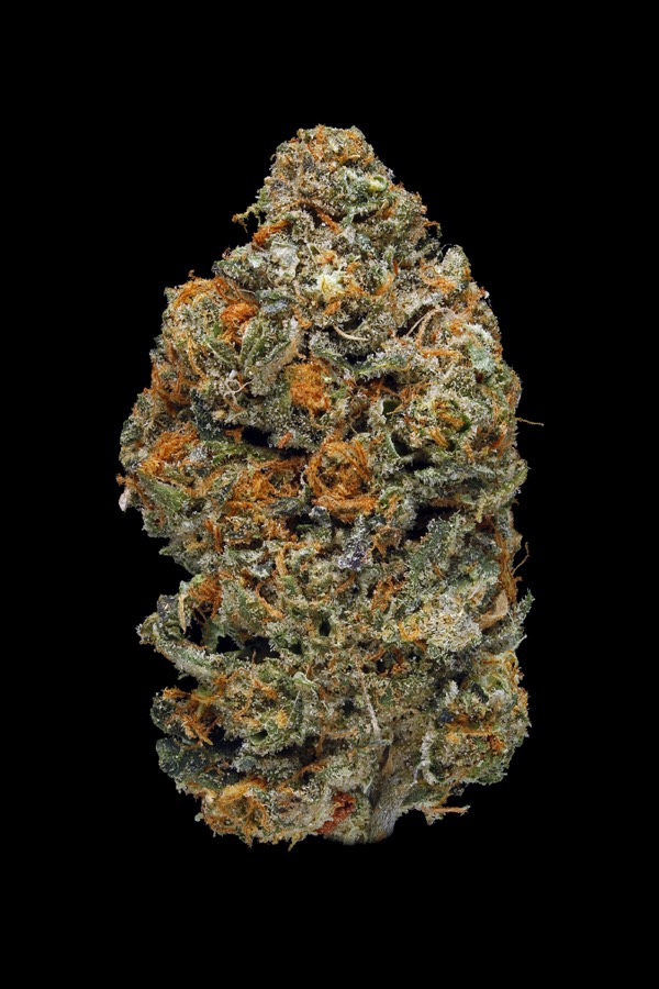Animal Cookies