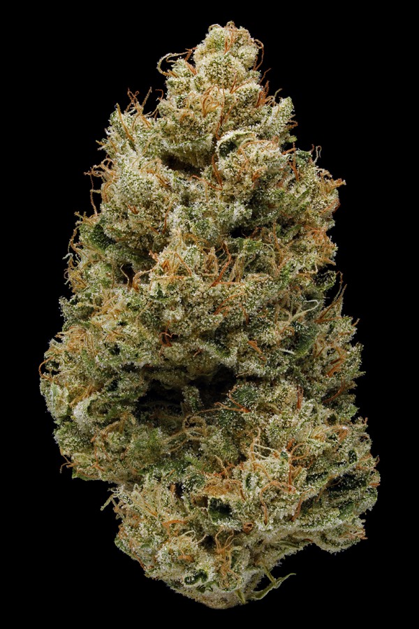 Banana Kush