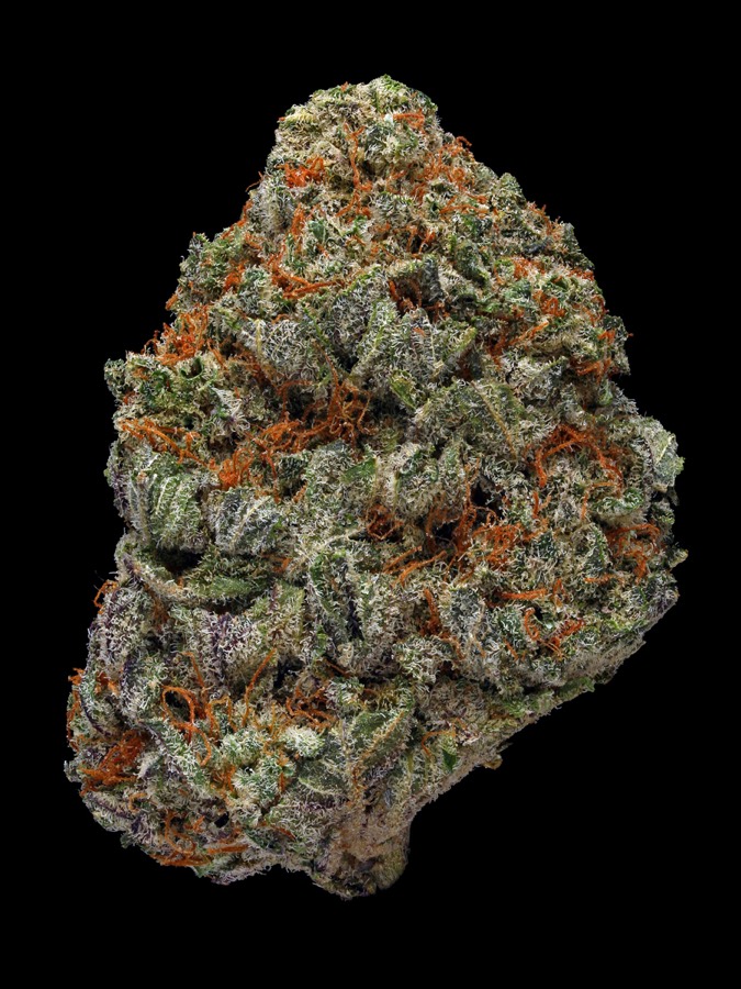Blackberry