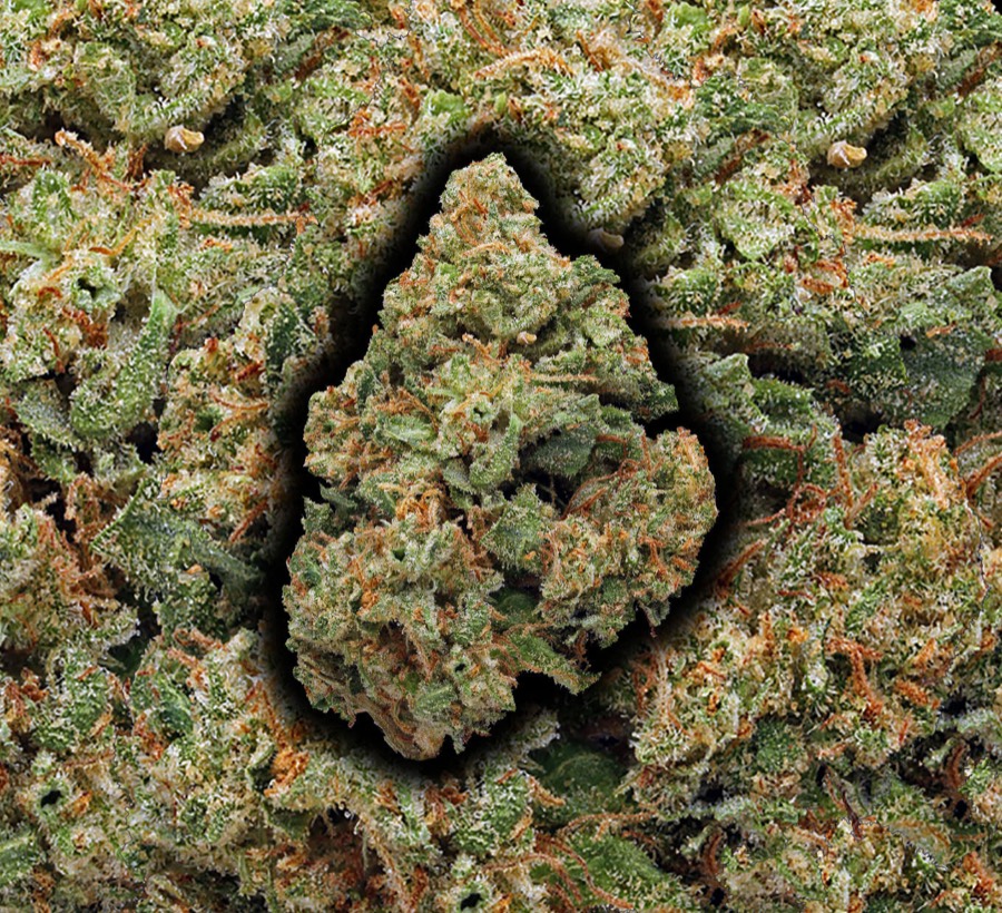 Blue Cheese