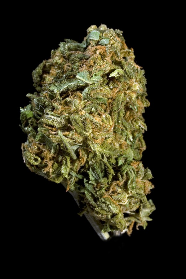 Blueberry