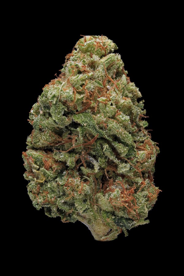 Bruce Banner