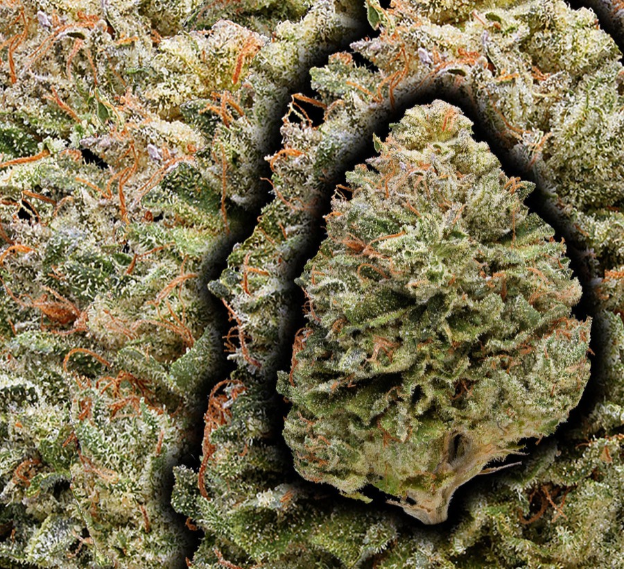 Bubba Kush