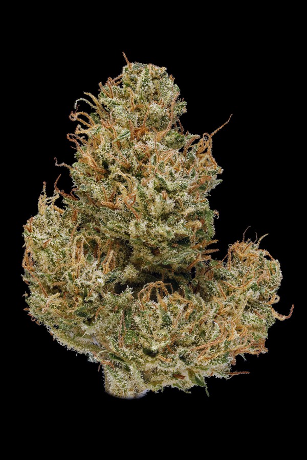 Cannatonic