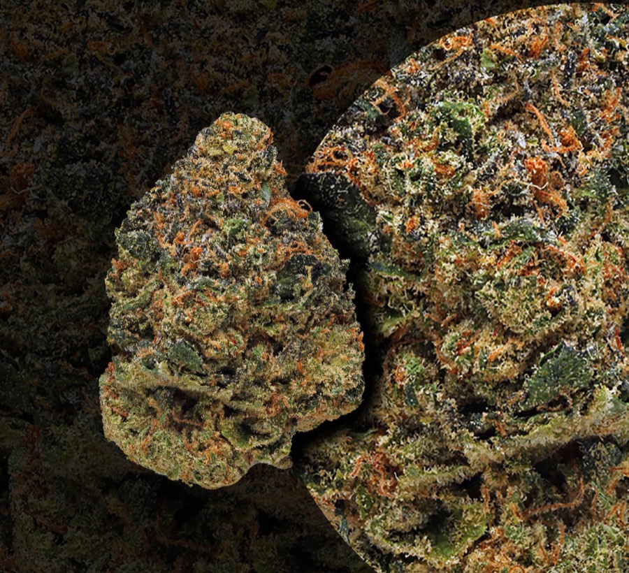 Cherry Pie