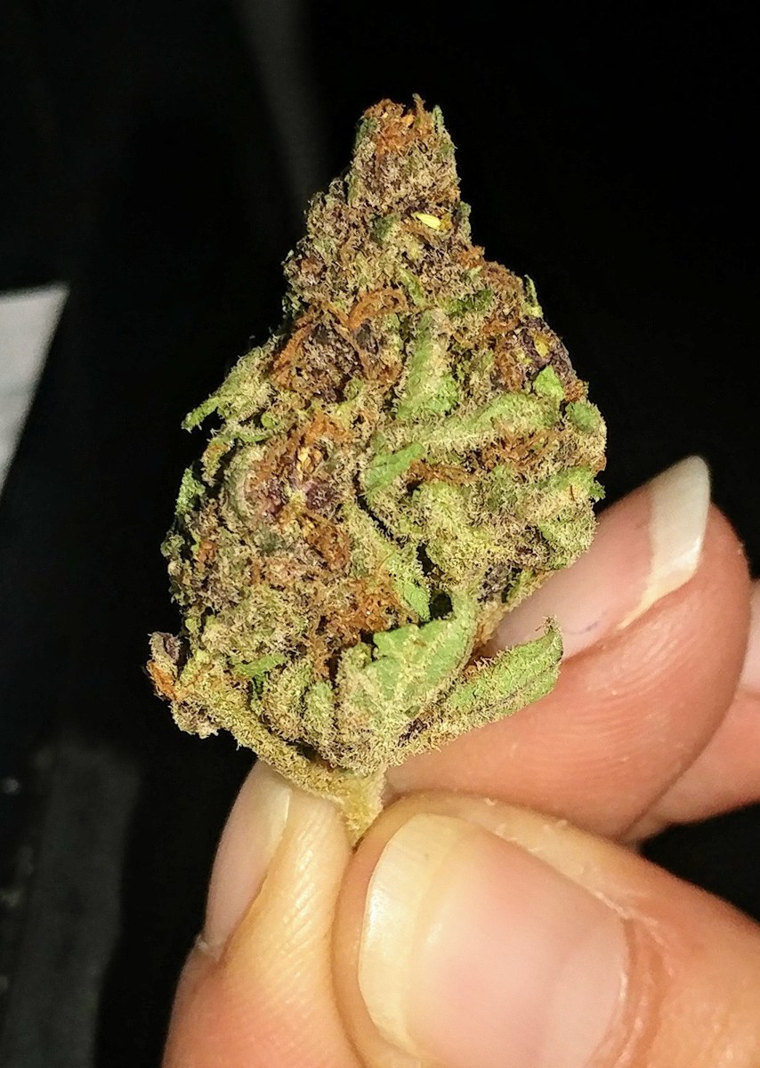 Dark Knight