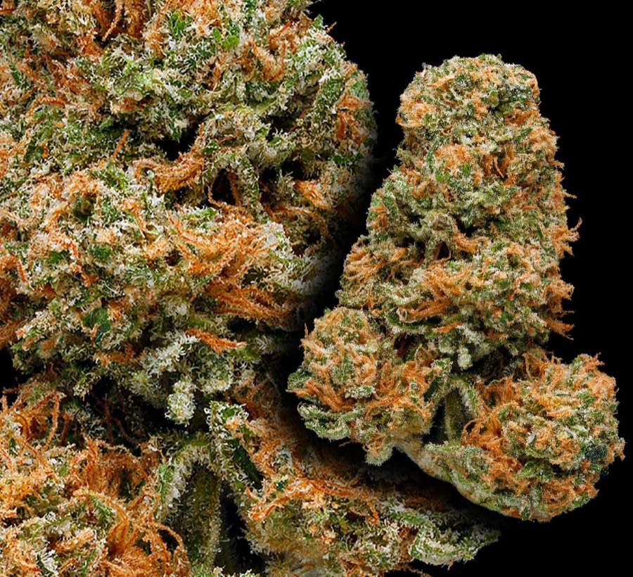 G-13