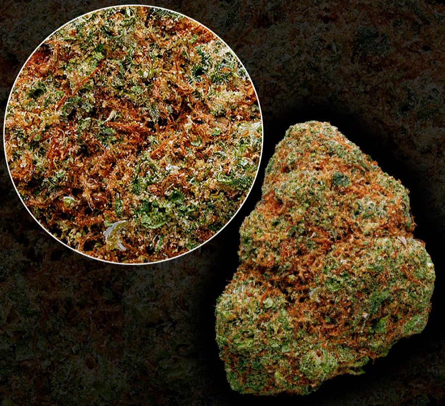 Golden Goat