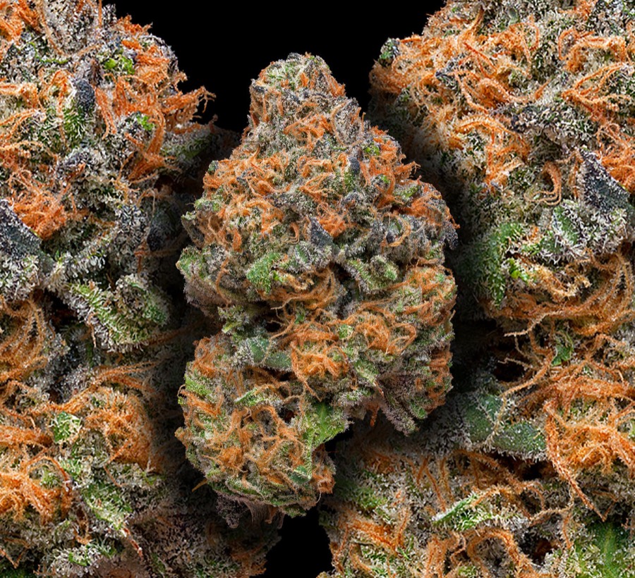 Grape Ape