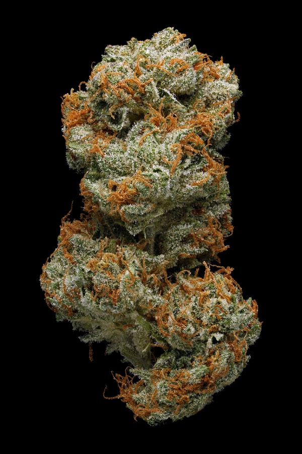 Grapefruit