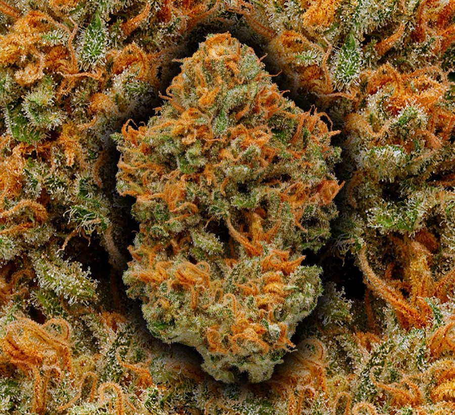 Green Crack