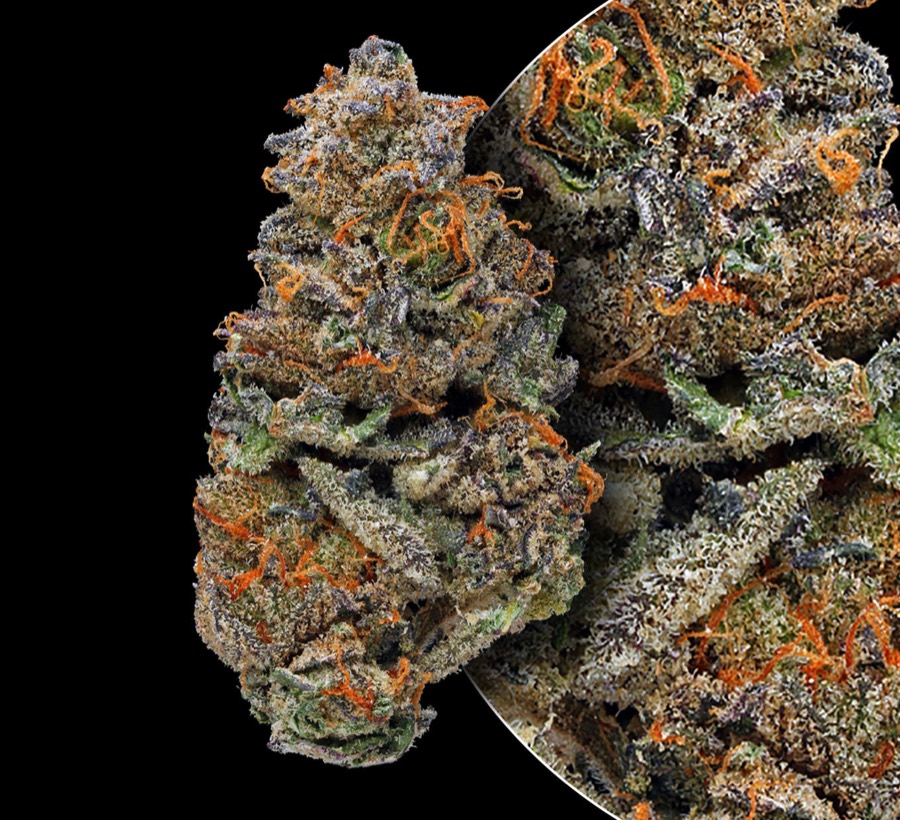GSC