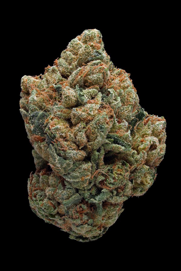 Holy Grail Kush