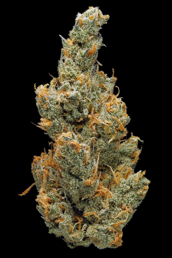 Juicy Fruit