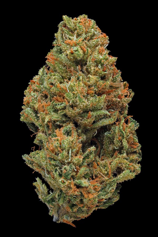Lemon Skunk