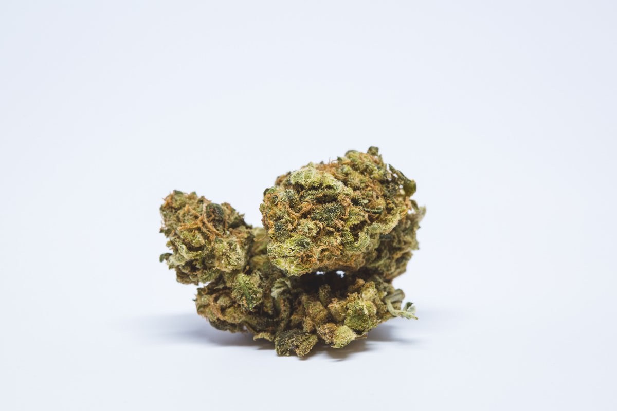 Lemon Tangie