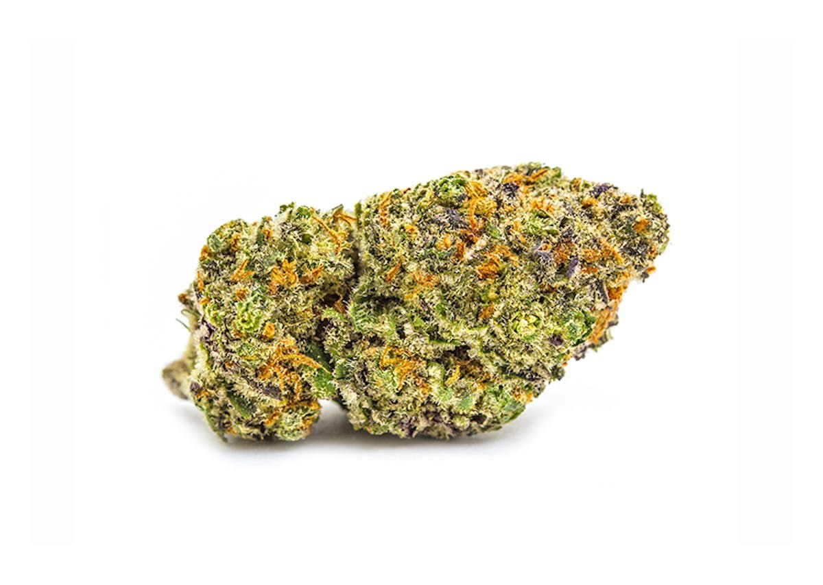 Lions Breath