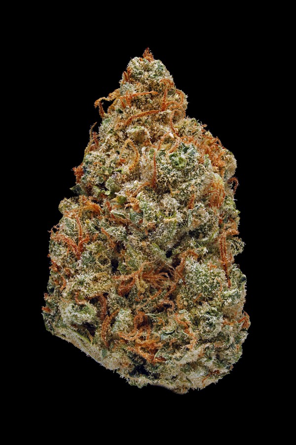 LSD