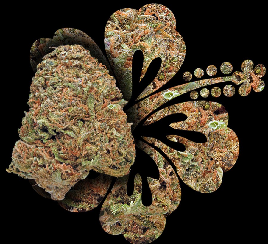 Maui Wowie