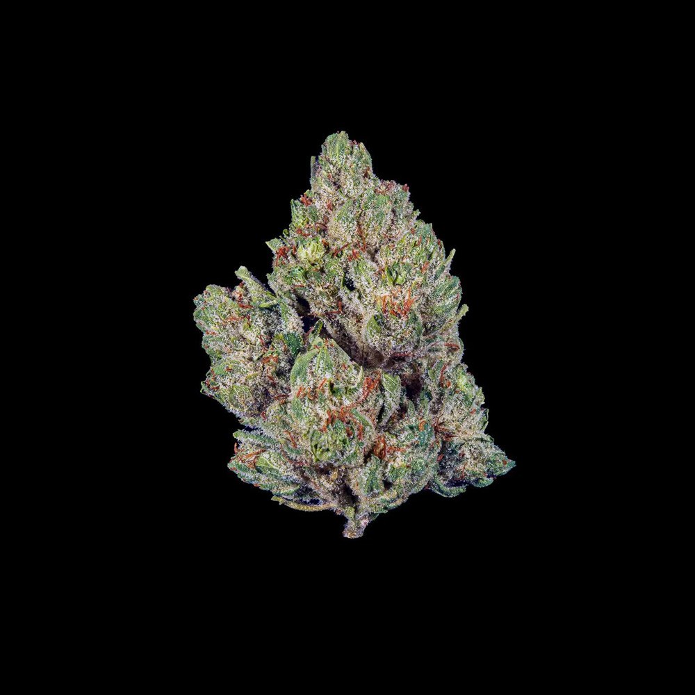 Member Og