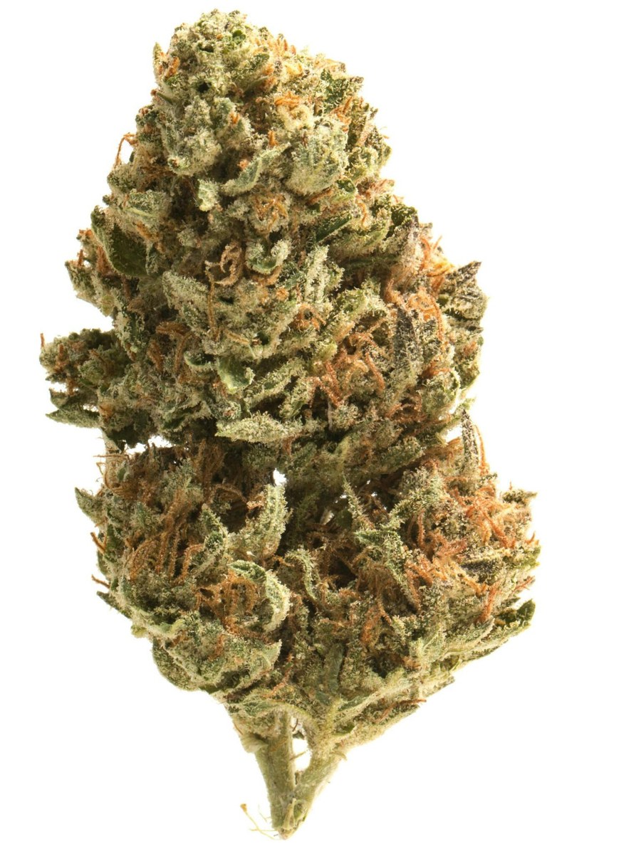 Mojo Melon