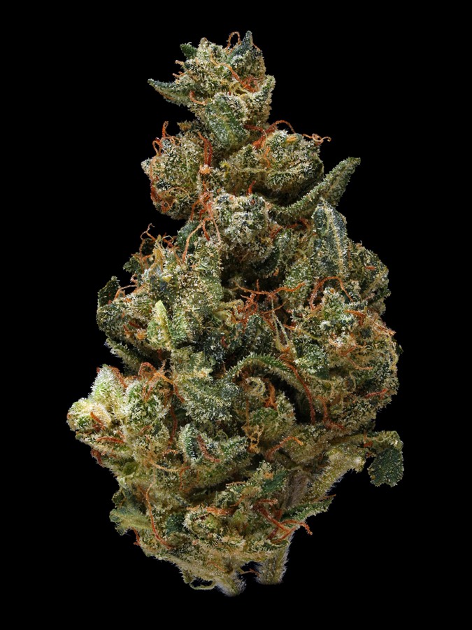 NYC Diesel