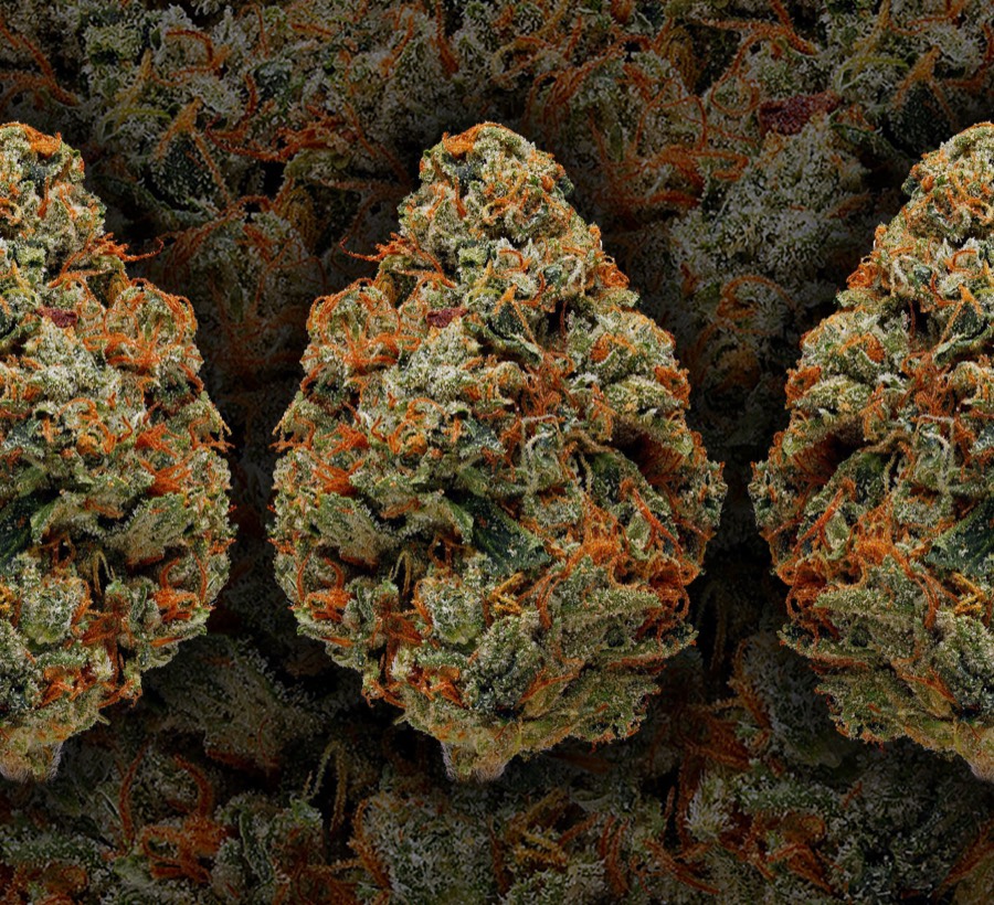 OG Kush