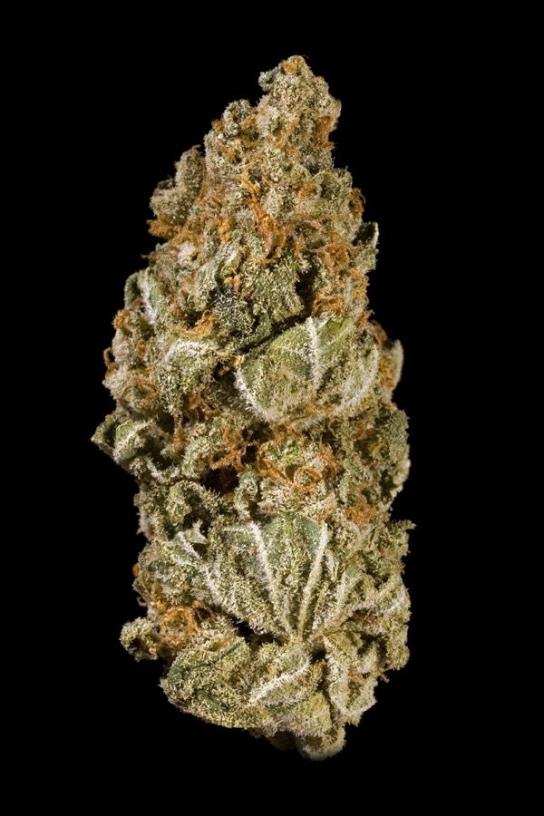 Pineapple Kush