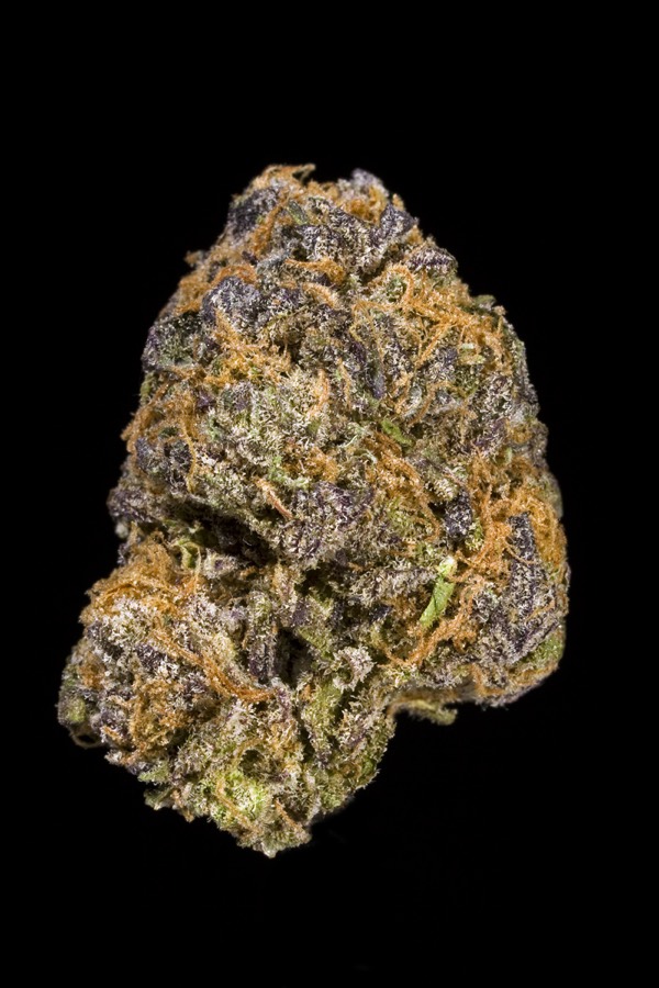 Purple Diesel