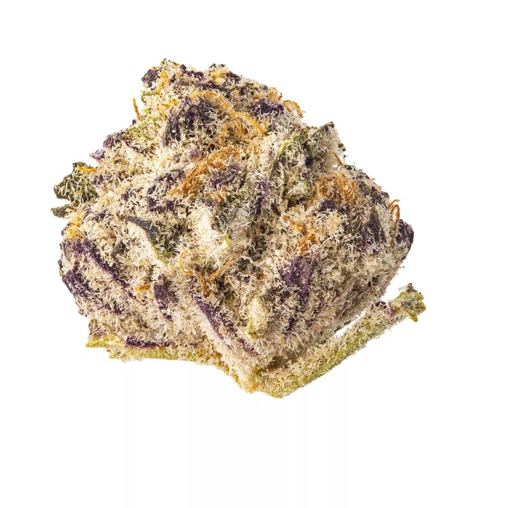 Purple Punch 2.0