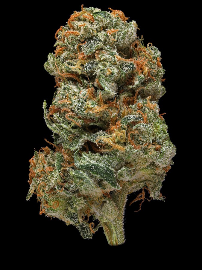 Romulan