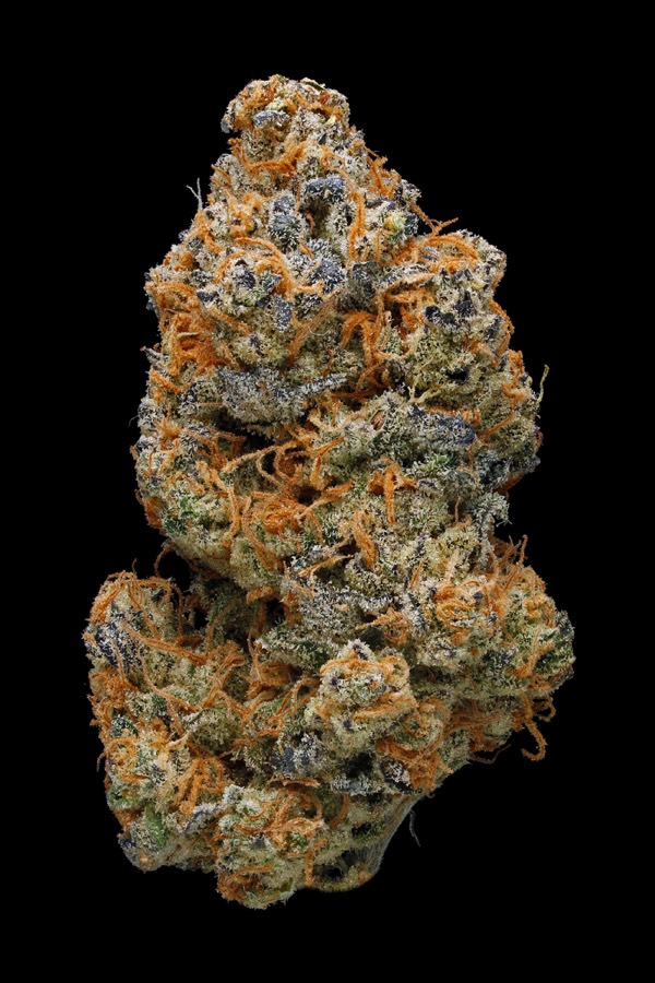 Sherbet