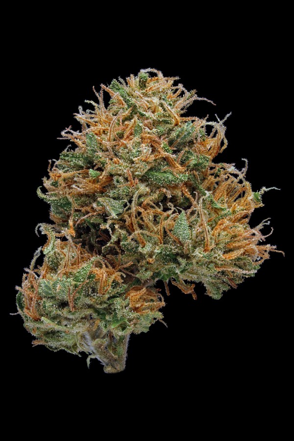 Snowcap