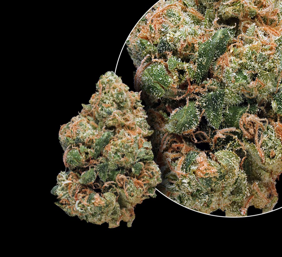 Sour Diesel