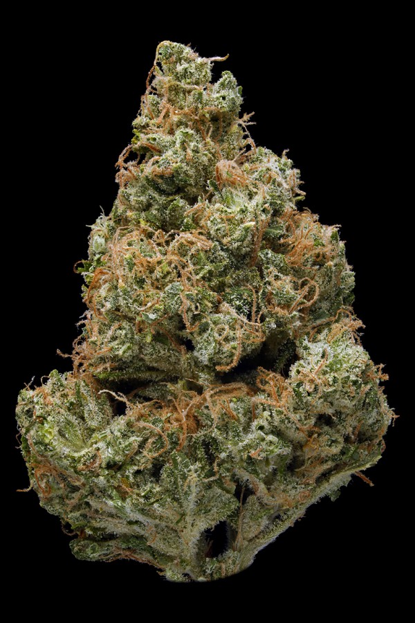 Sour OG