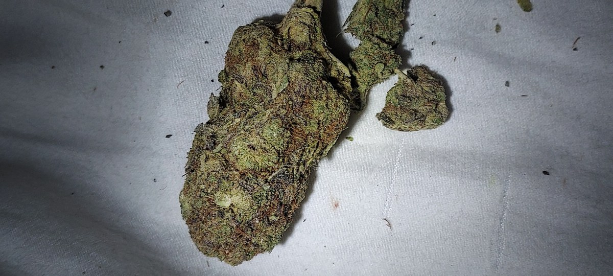 Sweet Berry