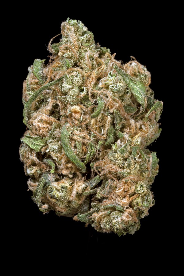 Tangerine Dream