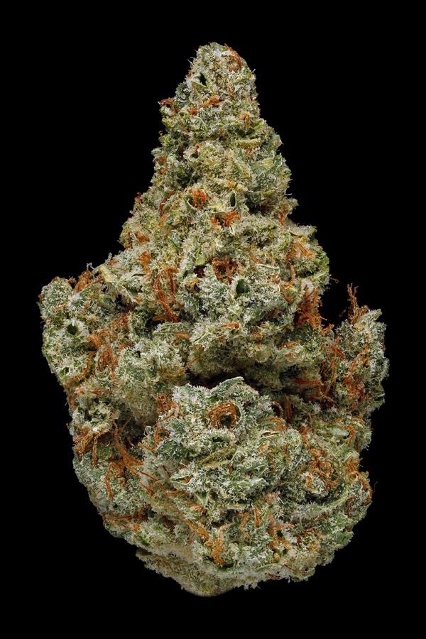 Tangie