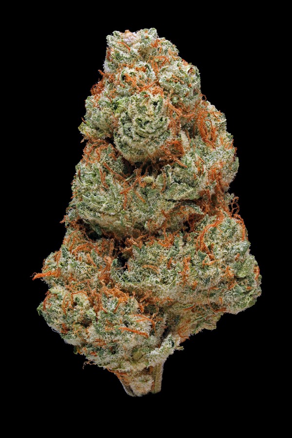 White Fire OG (WiFi OG)