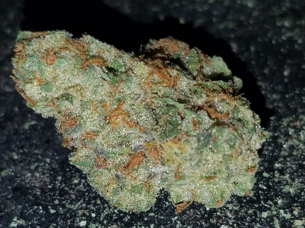 Wreck OG
