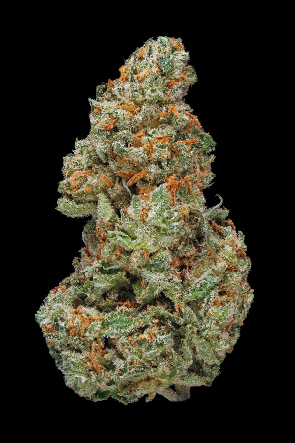 XJ-13
